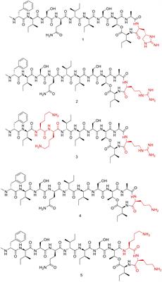 In Vitro Antibacterial Activity of Teixobactin Derivatives on Clinically Relevant Bacterial Isolates